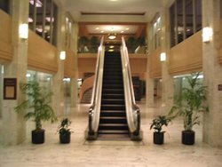 سلالم كهربائية